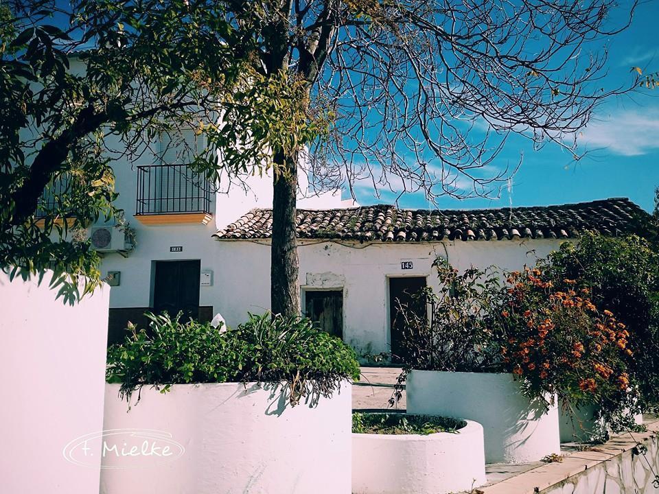 La Carrihuela Casa de hóspedes Algodonales Exterior foto