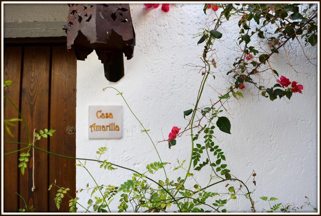 La Carrihuela Casa de hóspedes Algodonales Exterior foto